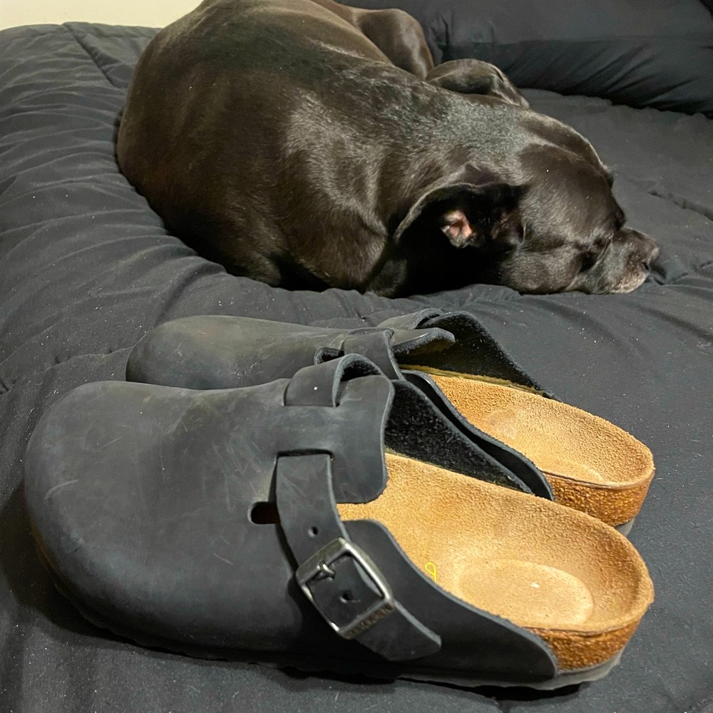 Birkenstock Boston Oiled Leather Clogs